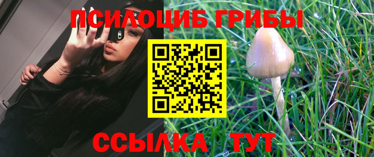 Галлюциногенные грибы Magic Shrooms  Вход с VPN  Гуково 