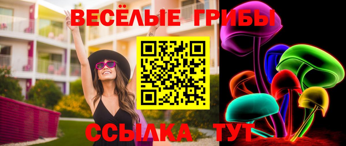 Галлюциногенные грибы прущие грибы Гуково